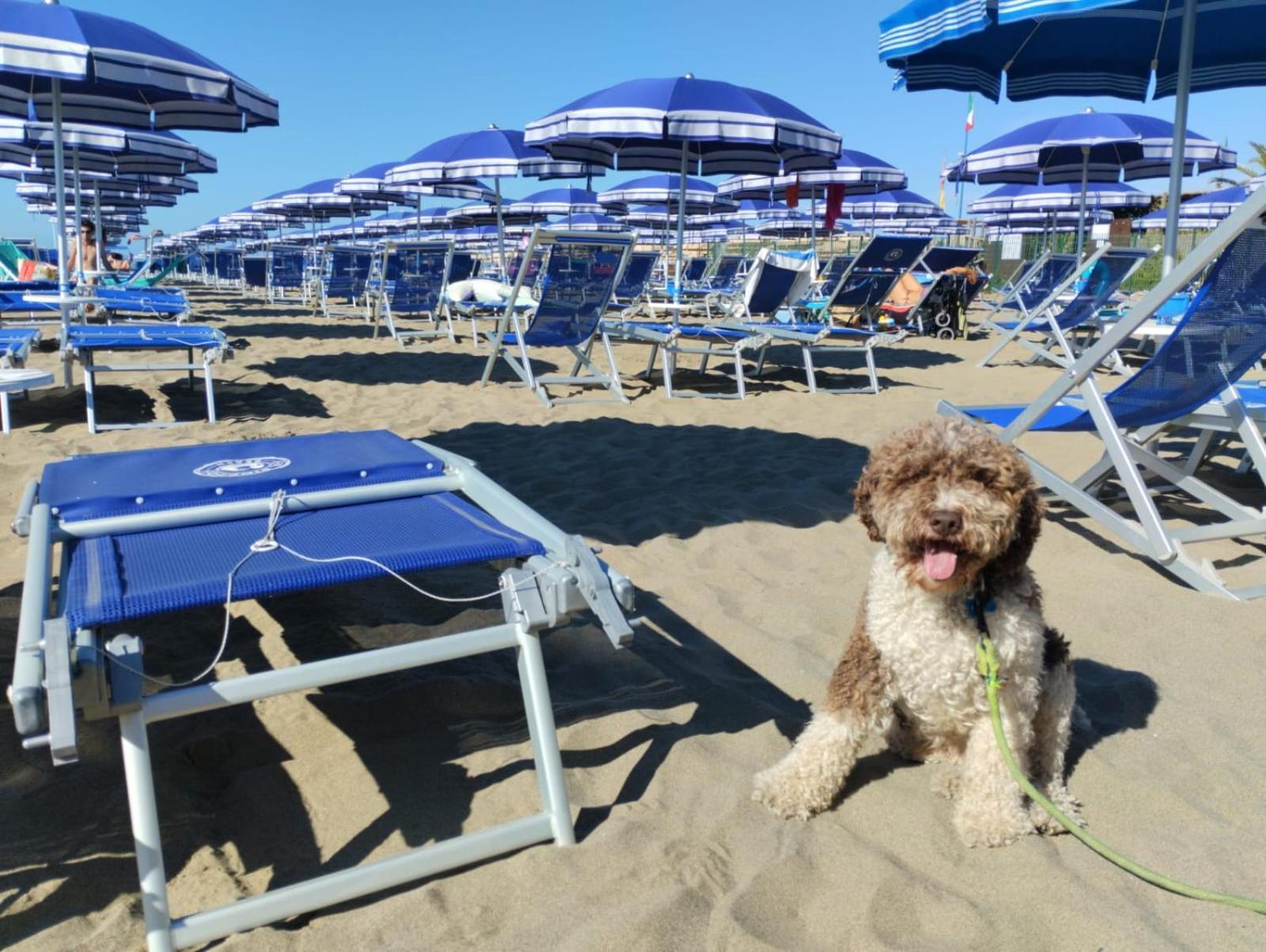 Отель Casa Per Ferie Il Pioppo Марина-ди-Масса Экстерьер фото